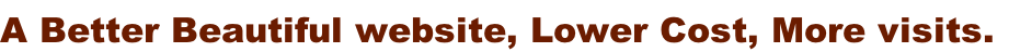 A Better Beautiful website, Lower Cost, More visits.